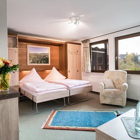 Cafe Alt Willingen Apartment Willingen (Upland)