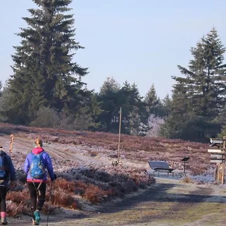 Daire Cafe Alt Willingen (Upland)