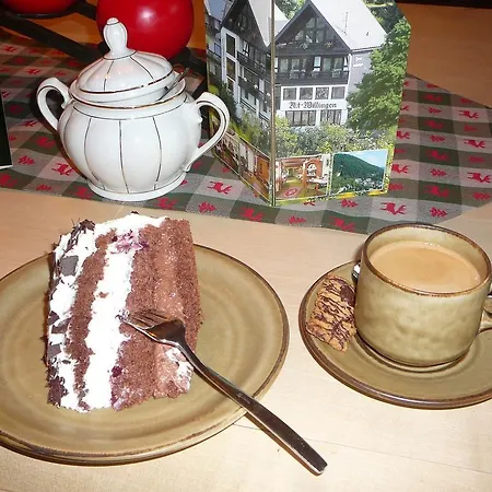 Cafe Alt Willingen Willingen (Upland)