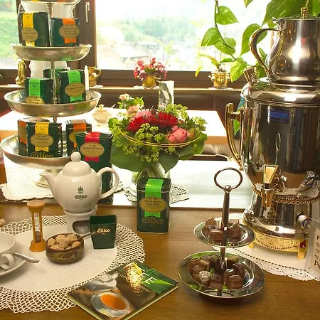 Cafe Alt Willingen Willingen (Upland)