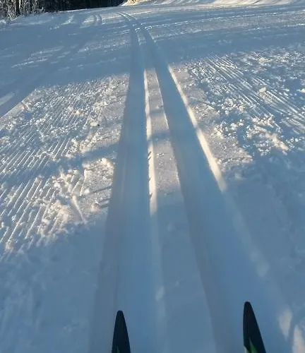 Διαμέρισμα Cafe Alt