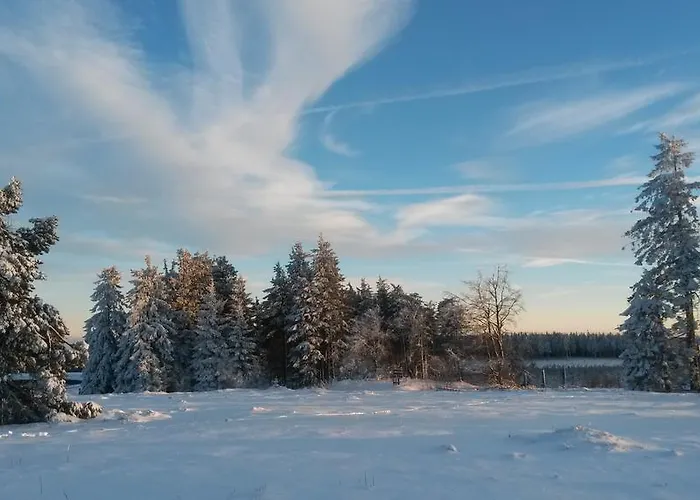 Cafe Alt Апартаменты