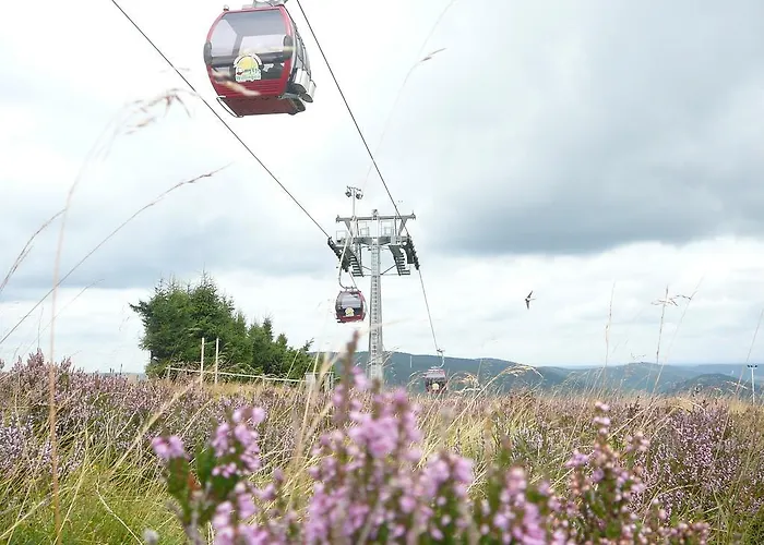 Διαμέρισμα Cafe Alt Willingen (Upland)