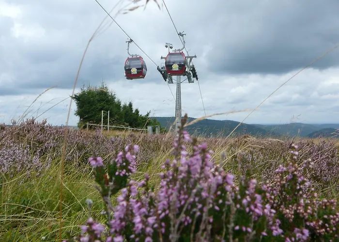 Cafe Alt Виллинген