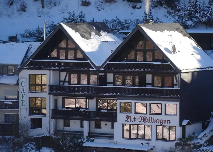 Διαμέρισμα Cafe Alt Willingen (Upland)