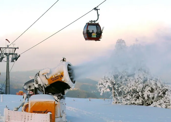 Cafe Alt Διαμέρισμα Willingen (Upland)