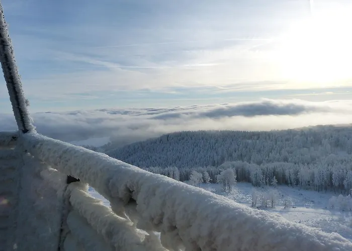 Cafe Alt * Виллинген