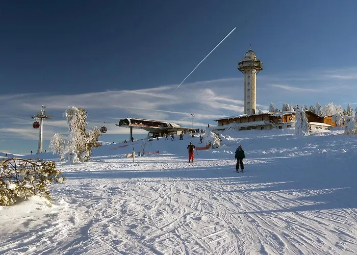 Cafe Alt Διαμέρισμα Willingen (Upland)